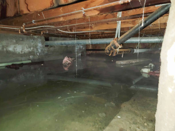Best Flood damage cleanup  in Port Washington, WI