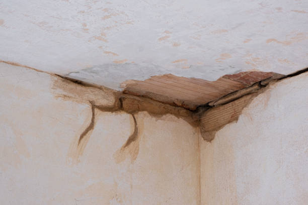 Best Local water damage restoration  in Port Washington, WI