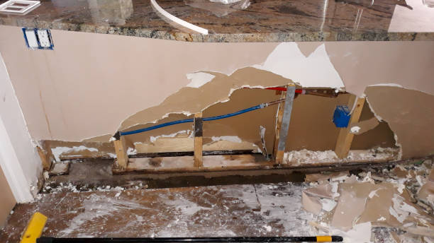 Best Local water damage restoration  in Port Washington, WI