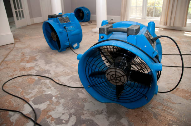 Best Residential water damage restoration  in Port Washington, WI