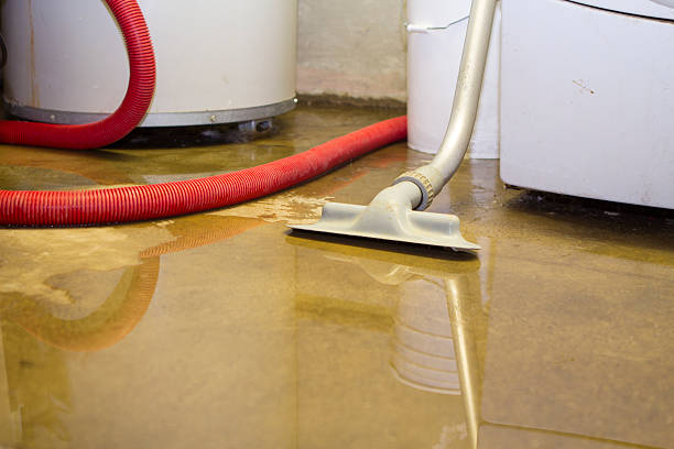 Best 24/7 water damage repair  in Port Washington, WI