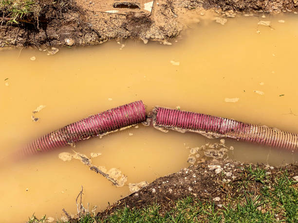 Best Mold removal after water damage  in Port Washington, WI