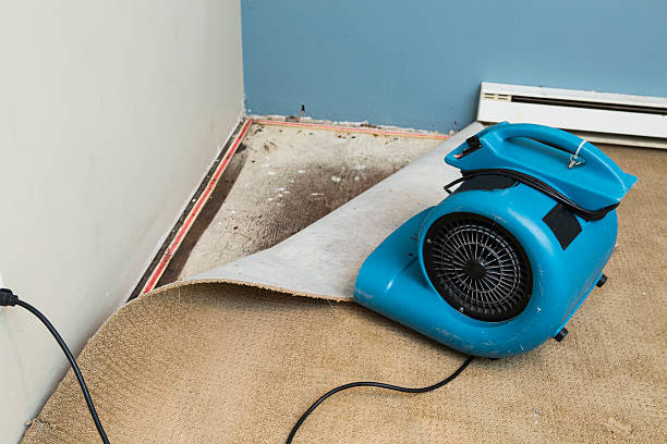 Best Basement water damage restoration  in Port Washington, WI